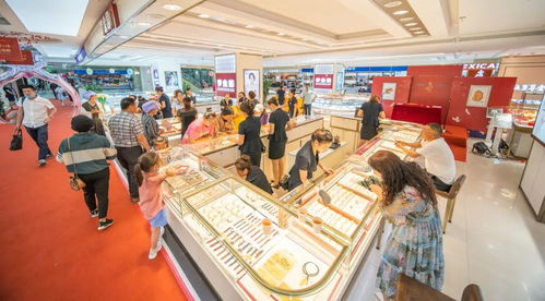 夢金園ipo前多家省級代理瀕臨倒閉