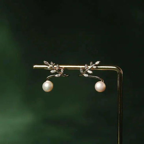 美到讓人尖叫的珍珠首飾,幾十出頭,氣質(zhì)超高級(jí)