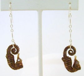 盤點令人驚悚的十大珠寶首飾 你敢戴嗎